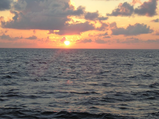 imag00008 
