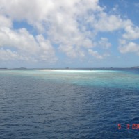 DSC04855 