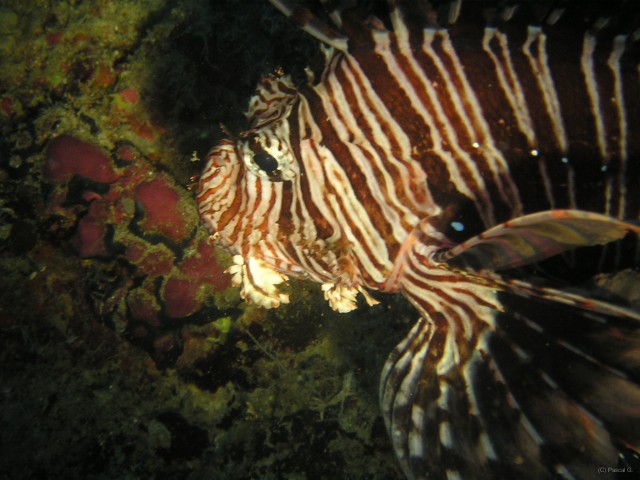imag00013 