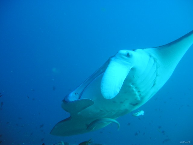 img000006 