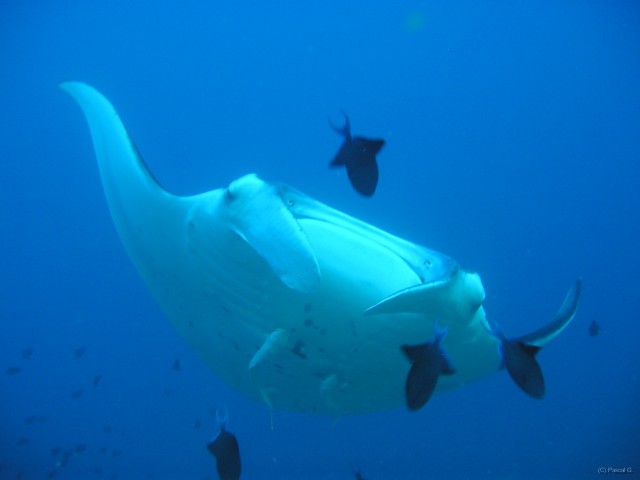 img000008 