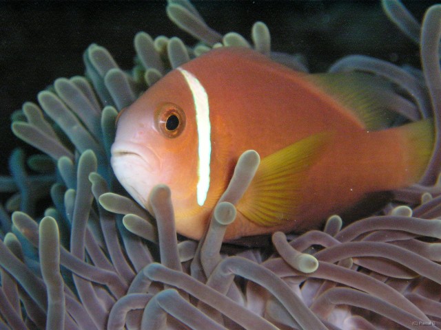 img000012 