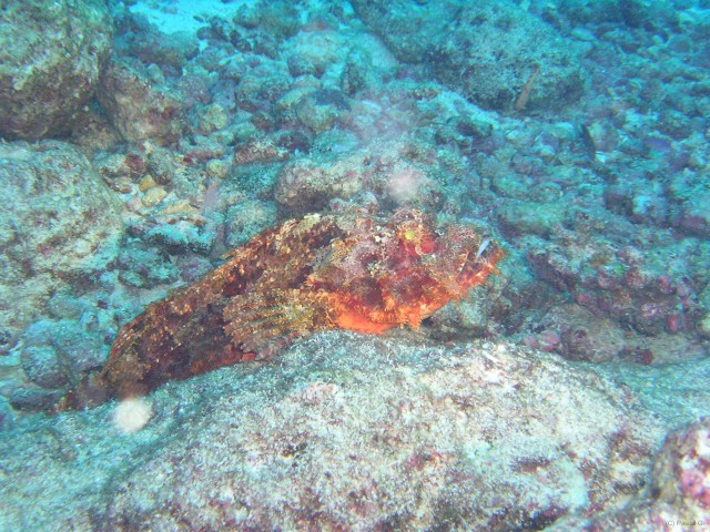 img000017 