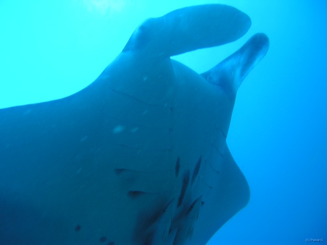 img000023 