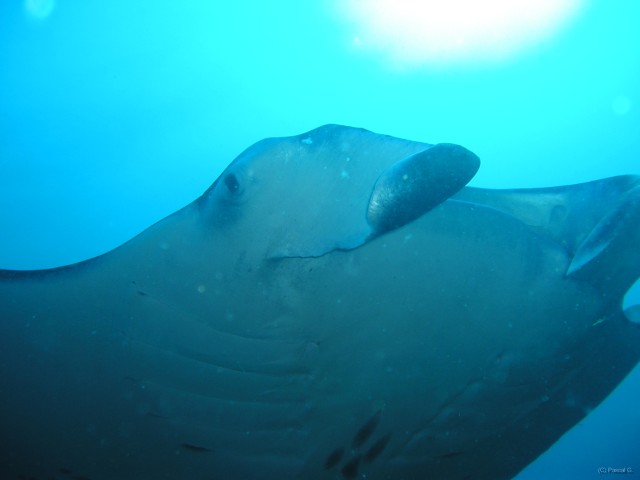 img000027 