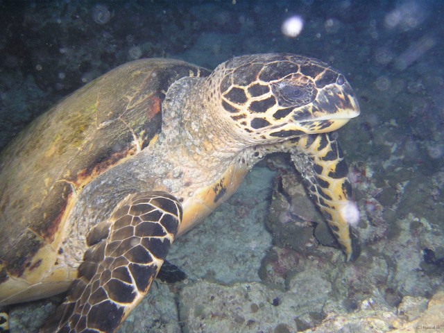 img000028 