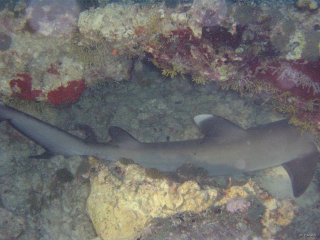 img000029 