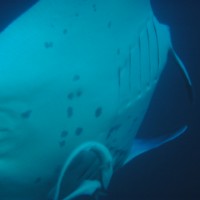 img000004 