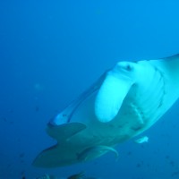 img000006 