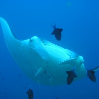 img000008 