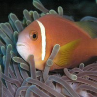 img000012 