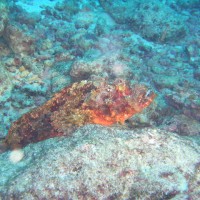 img000017 