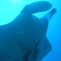 img000023 