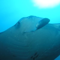 img000027 
