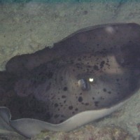 img000031