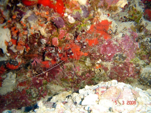 DSC04841 