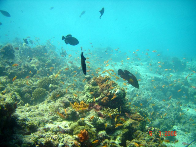 DSC04850 