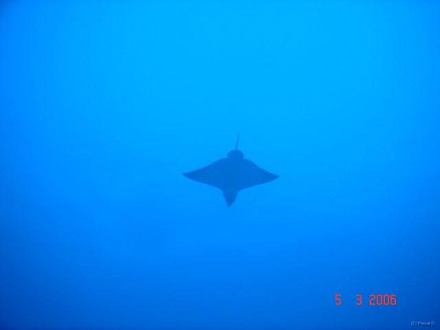 DSC04860 