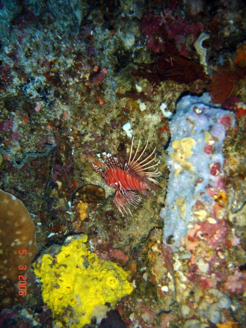 DSC04864 