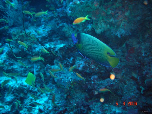 DSC04869 