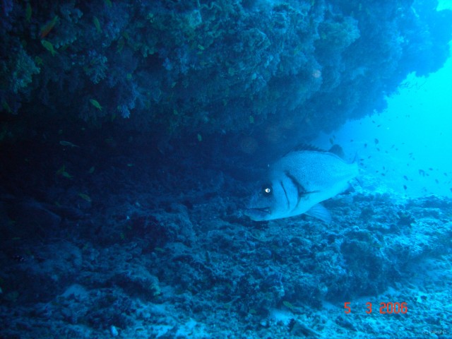 DSC04878 