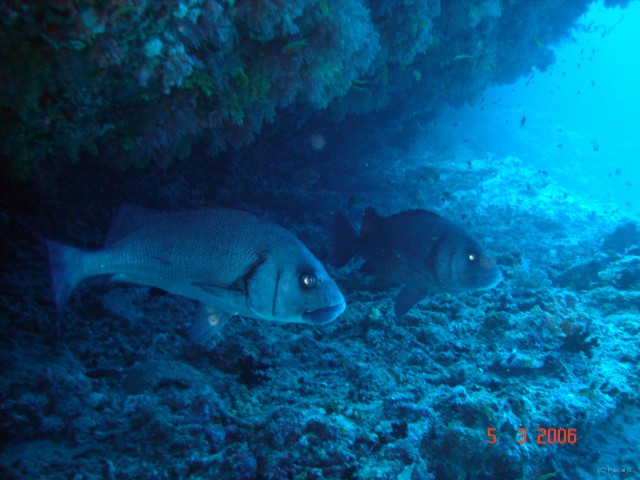 DSC04879 