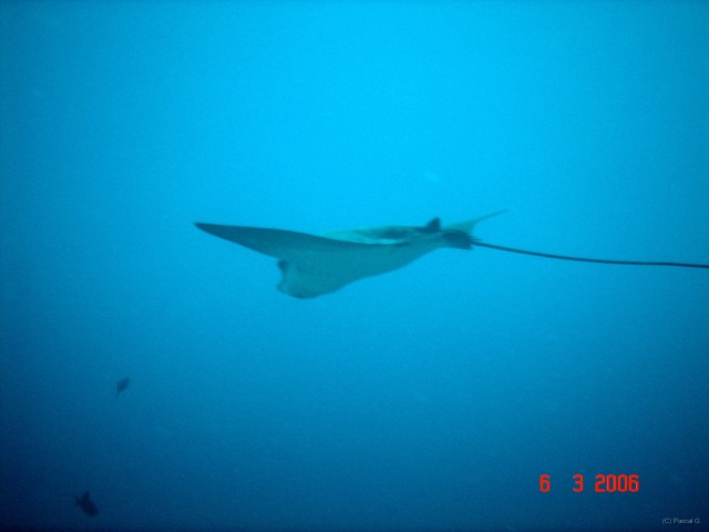DSC04906 