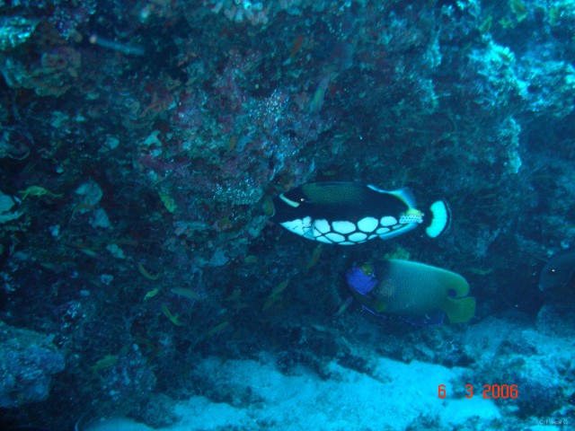 DSC04914 