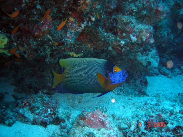 DSC04918 