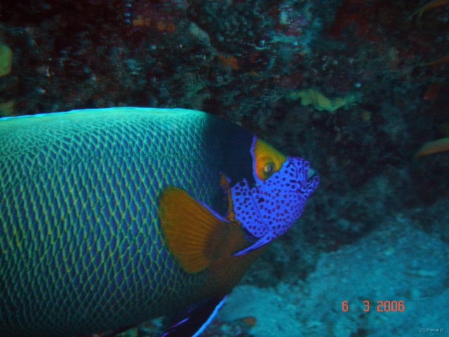 DSC04921 