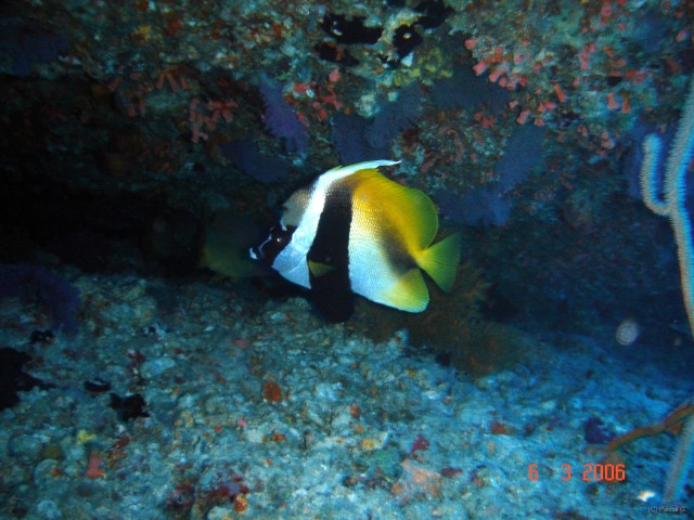 DSC04936 