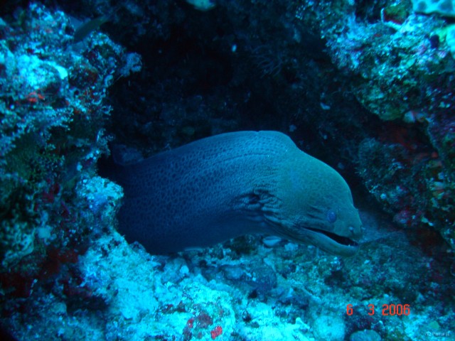 DSC04938 