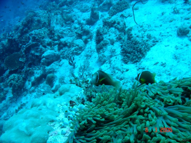 DSC04950 