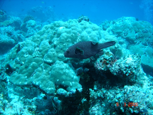 DSC04954 