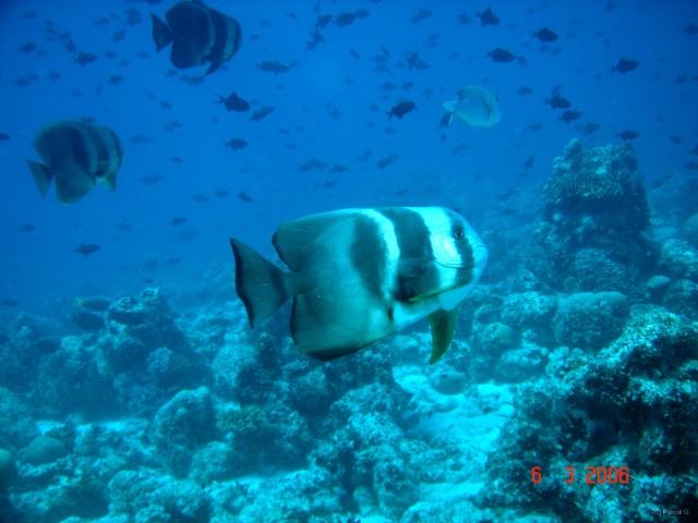 DSC04958 