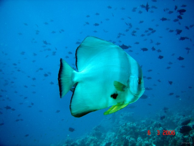 DSC04959 
