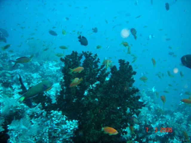 DSC04969 