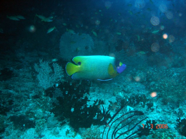 DSC04970 