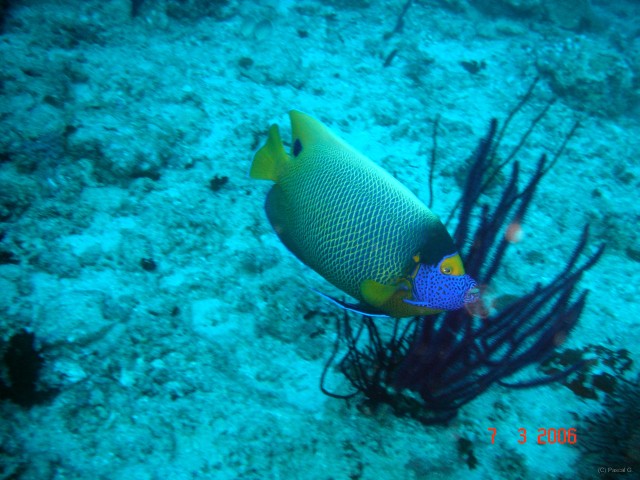 DSC04974 