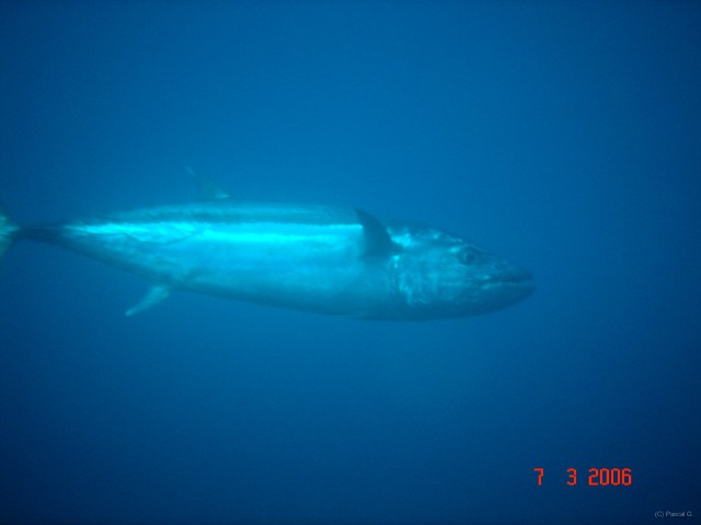 DSC04976 