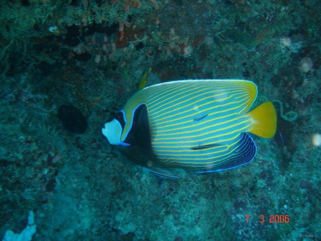 DSC05000 