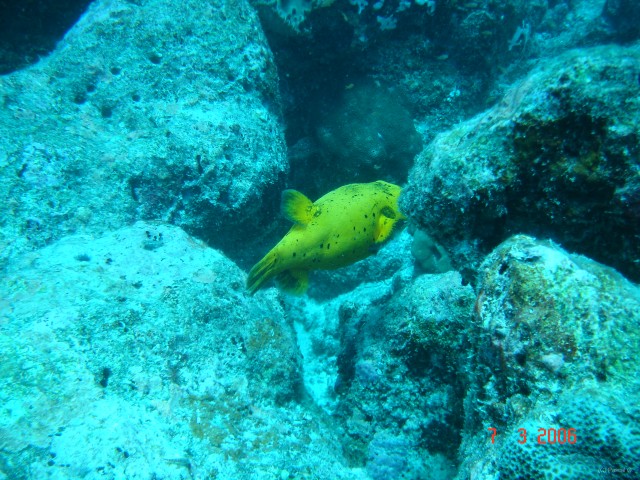 DSC05006 