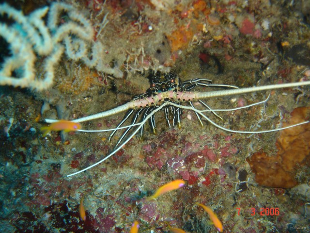 DSC05021 