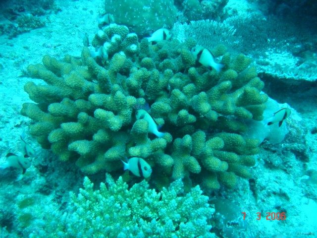 DSC05022 