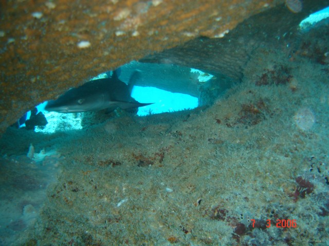 DSC05031 