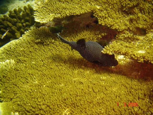 DSC05046 