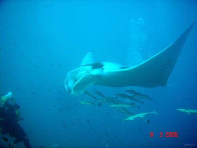 DSC05074 