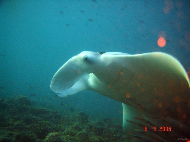 DSC05075 