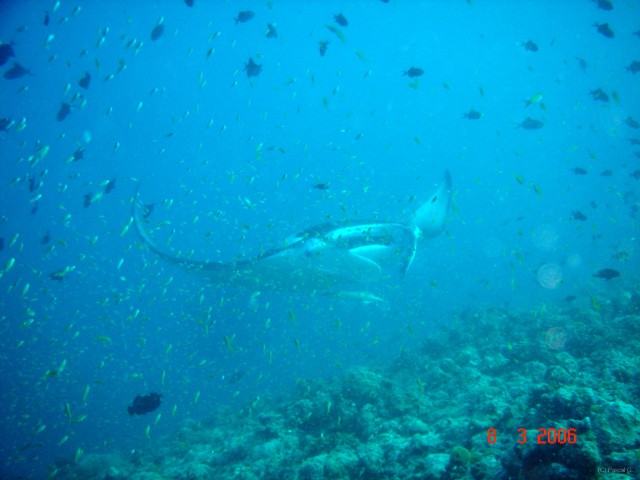 DSC05081 