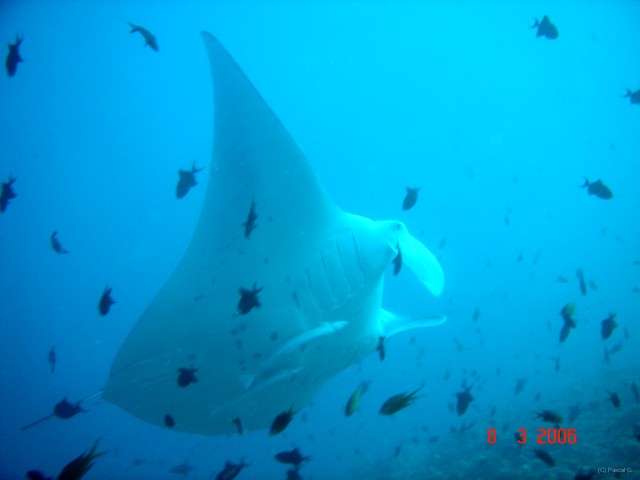 DSC05082 